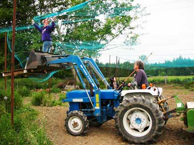 bluberry-tractor.jpg